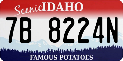 ID license plate 7B8224N