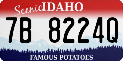 ID license plate 7B8224Q