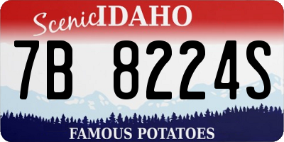 ID license plate 7B8224S