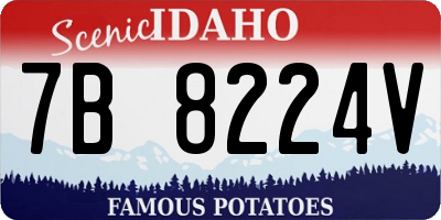 ID license plate 7B8224V