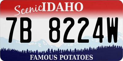 ID license plate 7B8224W