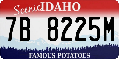 ID license plate 7B8225M