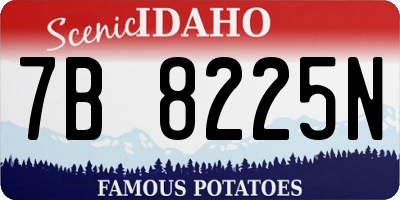 ID license plate 7B8225N