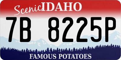ID license plate 7B8225P