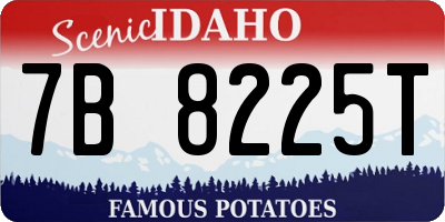 ID license plate 7B8225T