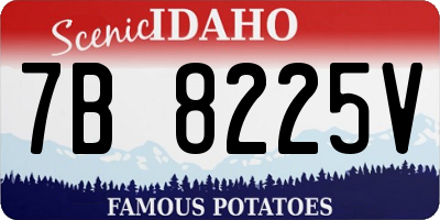 ID license plate 7B8225V