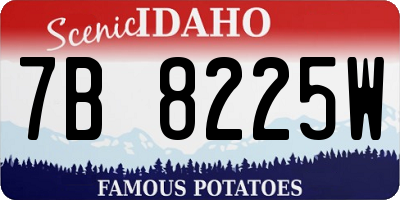 ID license plate 7B8225W