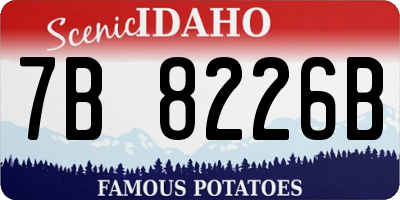 ID license plate 7B8226B