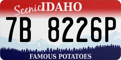 ID license plate 7B8226P