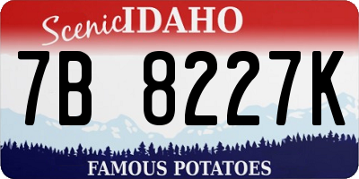 ID license plate 7B8227K