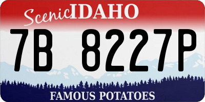 ID license plate 7B8227P
