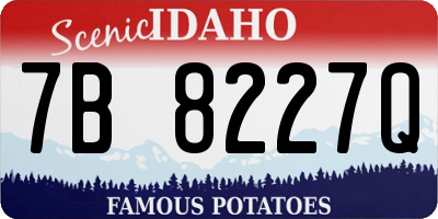 ID license plate 7B8227Q