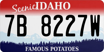 ID license plate 7B8227W