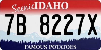 ID license plate 7B8227X