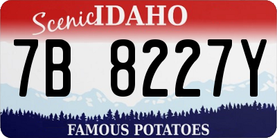 ID license plate 7B8227Y
