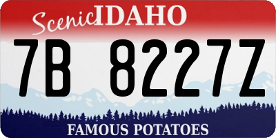 ID license plate 7B8227Z