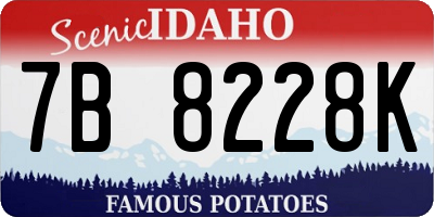 ID license plate 7B8228K