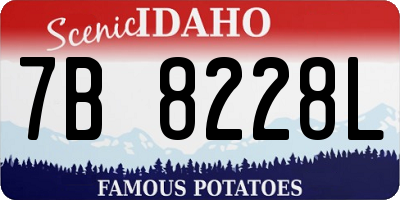 ID license plate 7B8228L