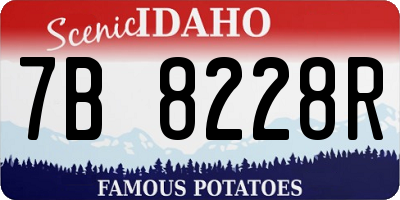 ID license plate 7B8228R