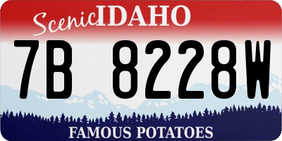 ID license plate 7B8228W