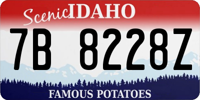 ID license plate 7B8228Z