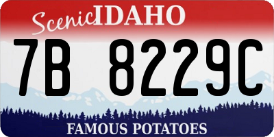 ID license plate 7B8229C
