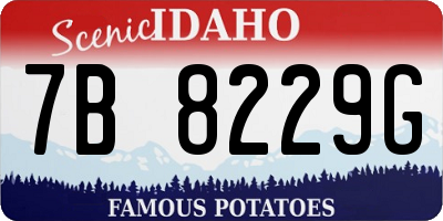 ID license plate 7B8229G