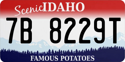 ID license plate 7B8229T