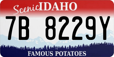 ID license plate 7B8229Y