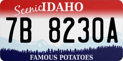 ID license plate 7B8230A