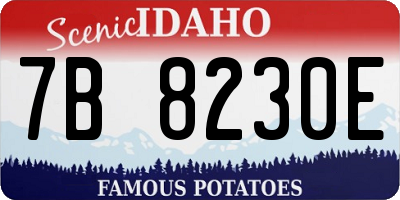 ID license plate 7B8230E