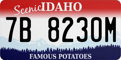 ID license plate 7B8230M