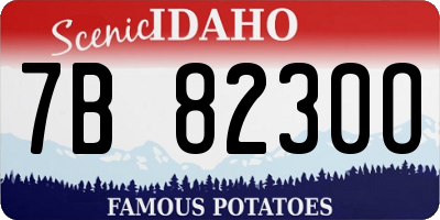 ID license plate 7B8230O