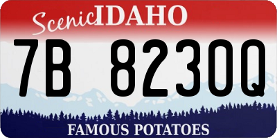 ID license plate 7B8230Q