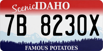 ID license plate 7B8230X