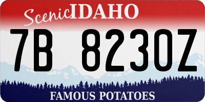 ID license plate 7B8230Z