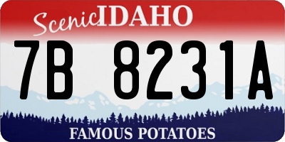 ID license plate 7B8231A