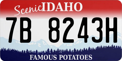 ID license plate 7B8243H