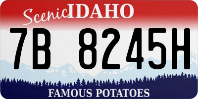 ID license plate 7B8245H
