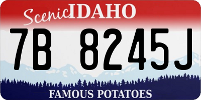 ID license plate 7B8245J