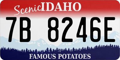 ID license plate 7B8246E