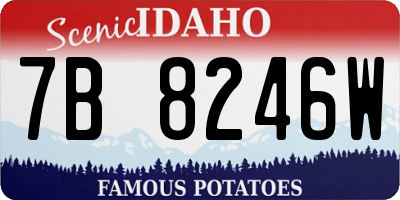 ID license plate 7B8246W