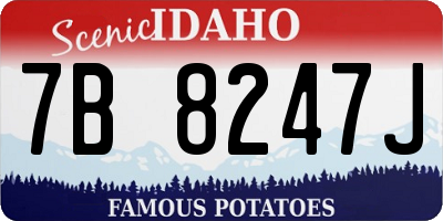 ID license plate 7B8247J