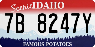 ID license plate 7B8247Y