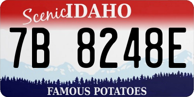ID license plate 7B8248E