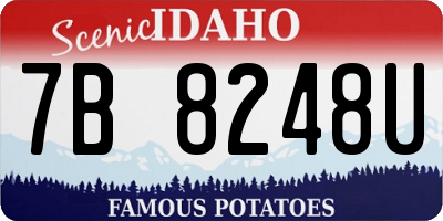 ID license plate 7B8248U