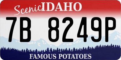 ID license plate 7B8249P
