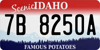 ID license plate 7B8250A