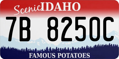 ID license plate 7B8250C