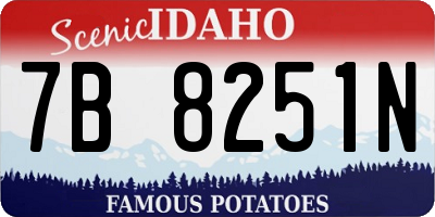 ID license plate 7B8251N
